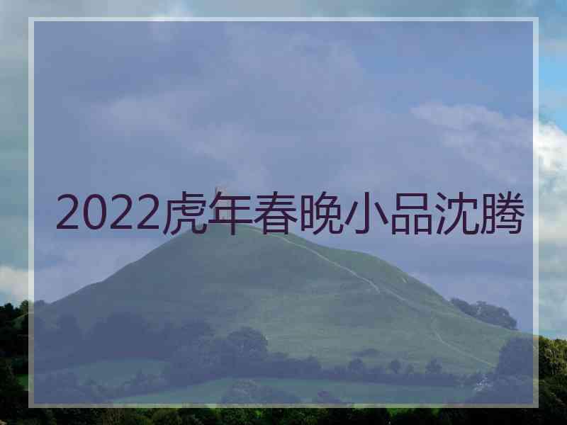 2022虎年春晚小品沈腾