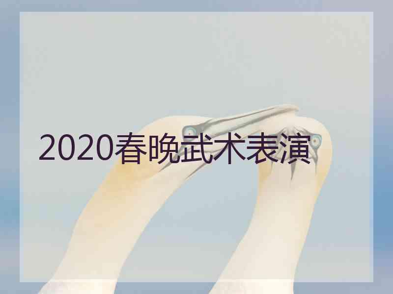 2020春晚武术表演