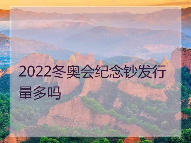 2022冬奥会纪念钞发行量多吗