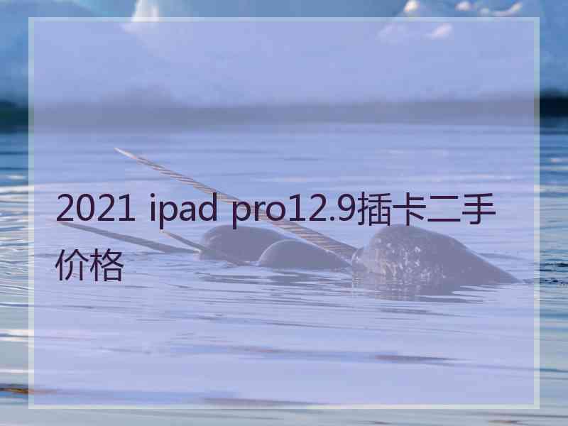 2021 ipad pro12.9插卡二手价格