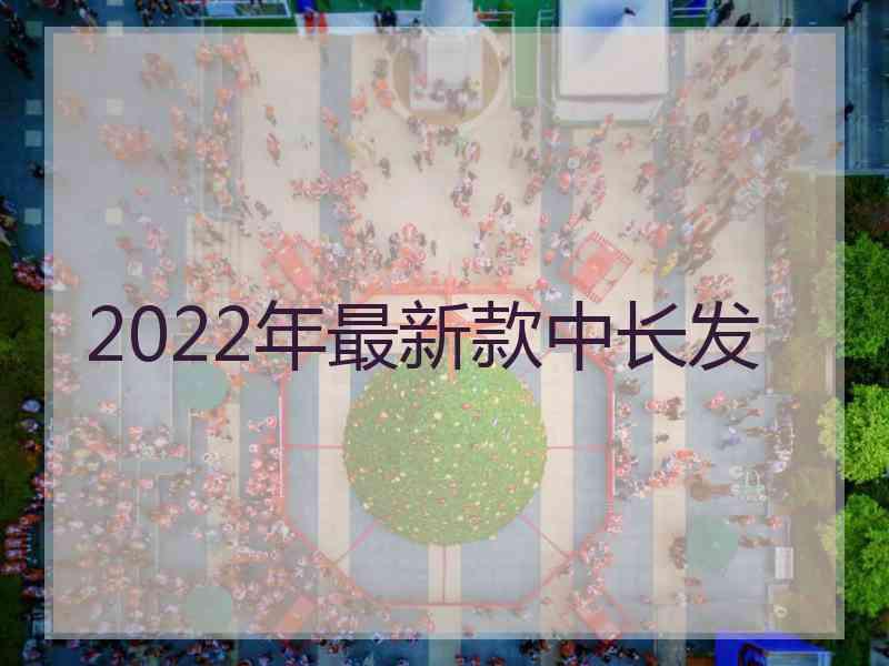 2022年最新款中长发