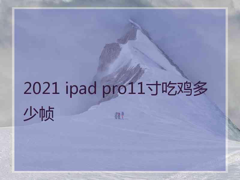 2021 ipad pro11寸吃鸡多少帧