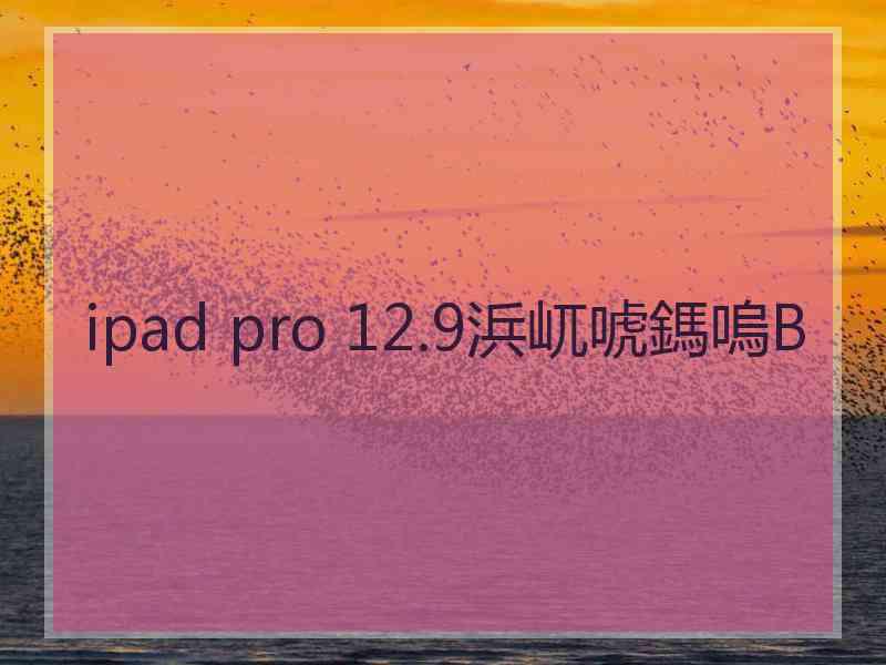 ipad pro 12.9浜屼唬鎷嗚В