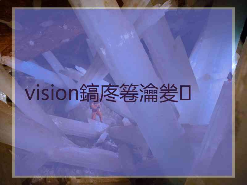 vision鎬庝箞瀹夎