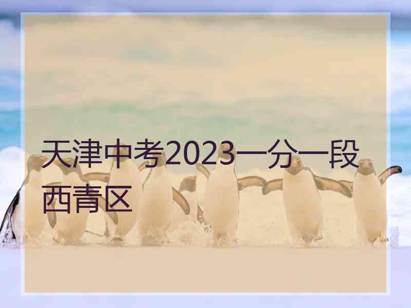 天津中考2023一分一段西青区