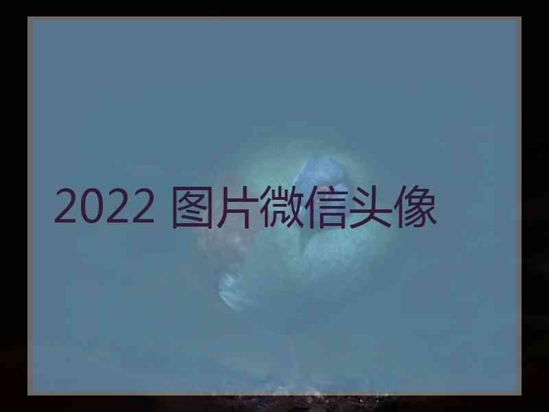 2022 图片微信头像