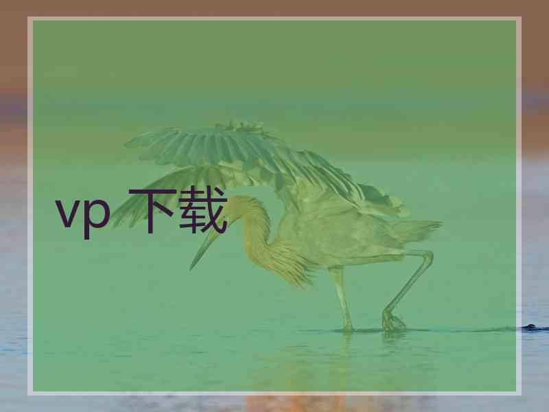 vp 下载