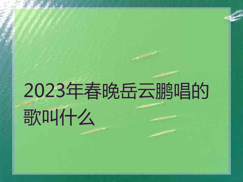 2023年春晚岳云鹏唱的歌叫什么