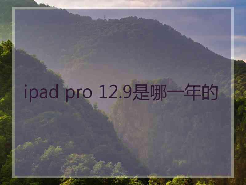 ipad pro 12.9是哪一年的