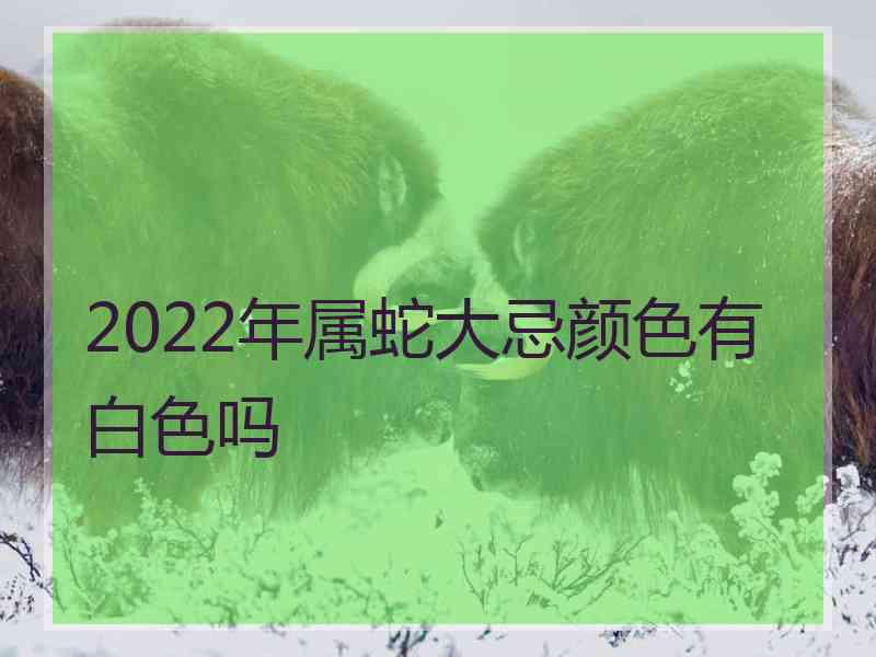 2022年属蛇大忌颜色有白色吗