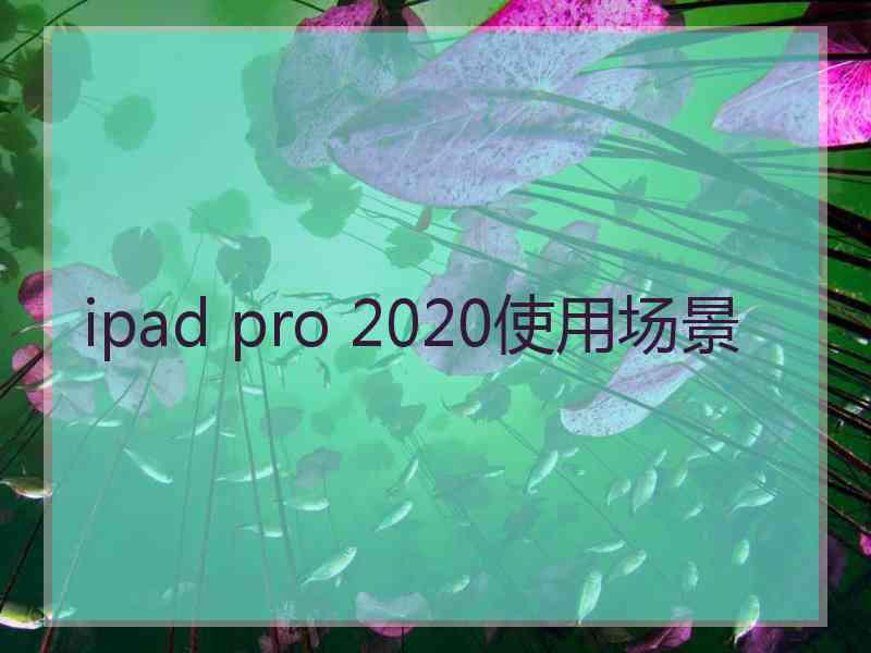 ipad pro 2020使用场景