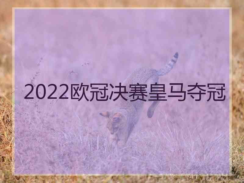 2022欧冠决赛皇马夺冠