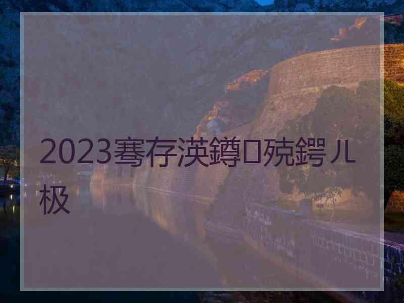 2023骞存渶鐏殑鍔ㄦ极