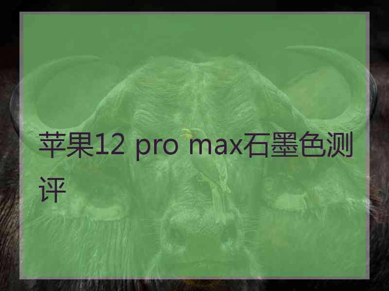 苹果12 pro max石墨色测评