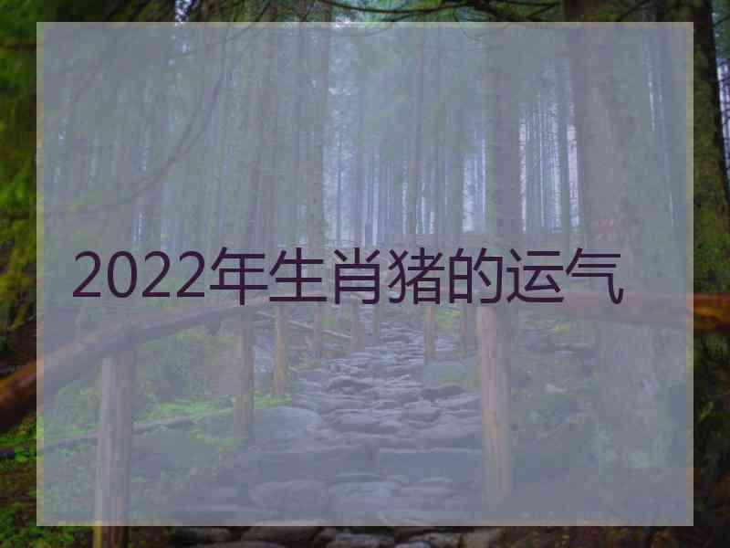 2022年生肖猪的运气