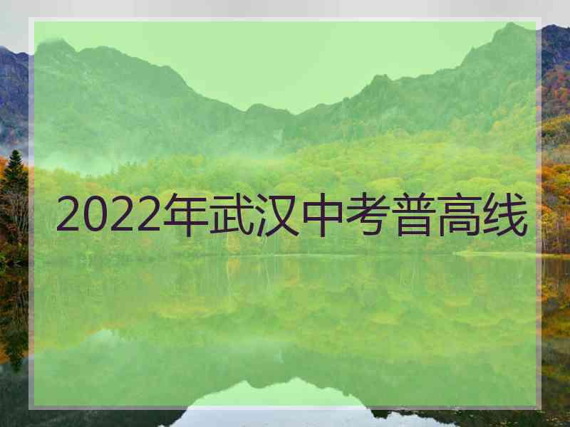 2022年武汉中考普高线