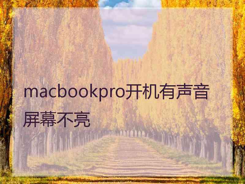 macbookpro开机有声音屏幕不亮