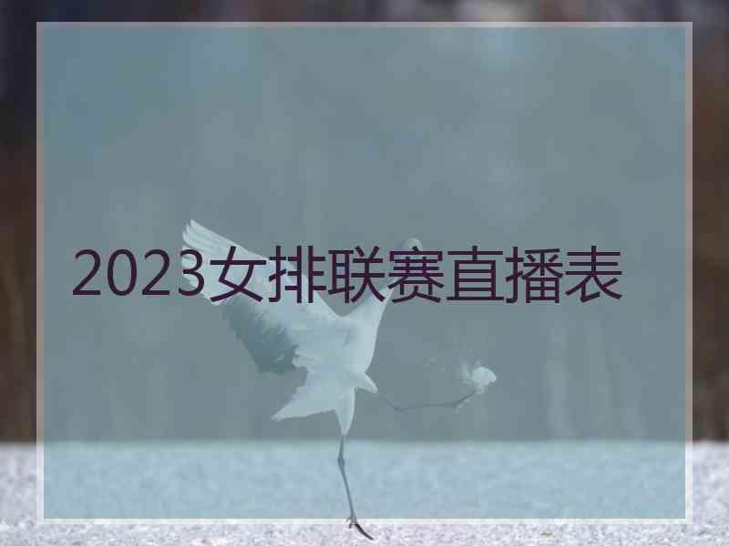 2023女排联赛直播表