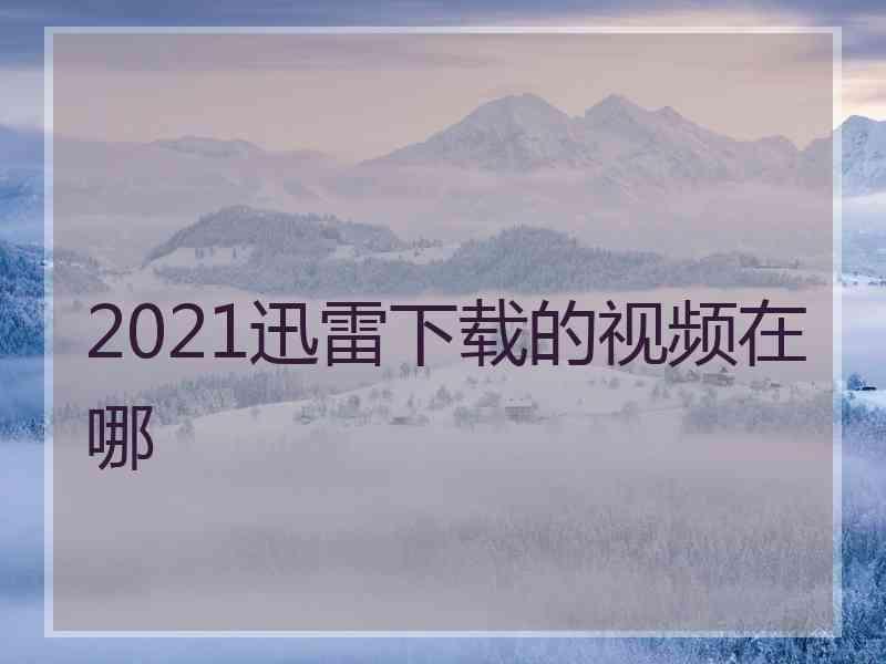 2021迅雷下载的视频在哪