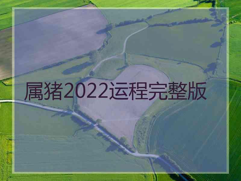 属猪2022运程完整版