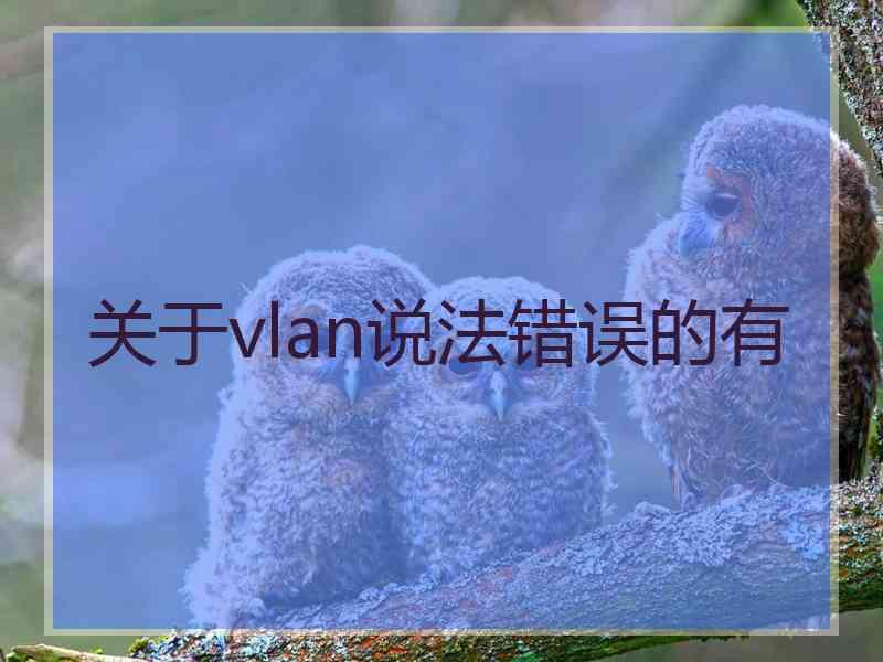 关于vlan说法错误的有