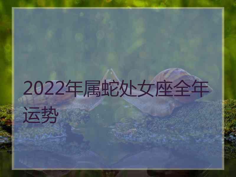 2022年属蛇处女座全年运势