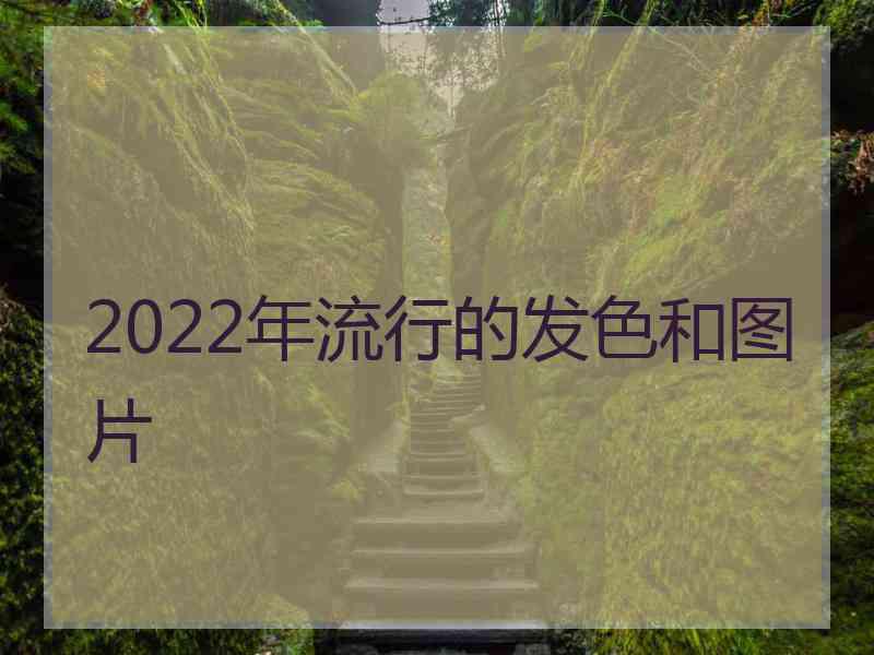 2022年流行的发色和图片