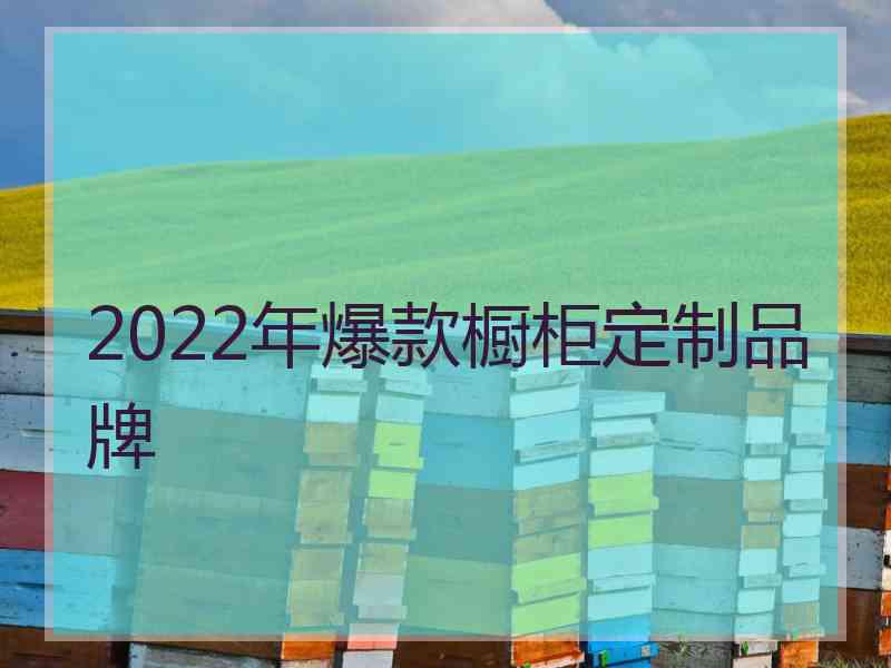 2022年爆款橱柜定制品牌