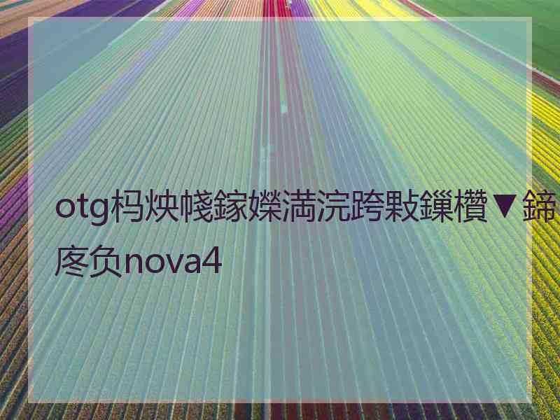 otg杩炴帴鎵嬫満浣跨敤鏁欑▼鍗庝负nova4