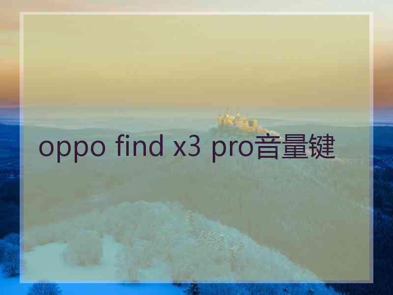 oppo find x3 pro音量键