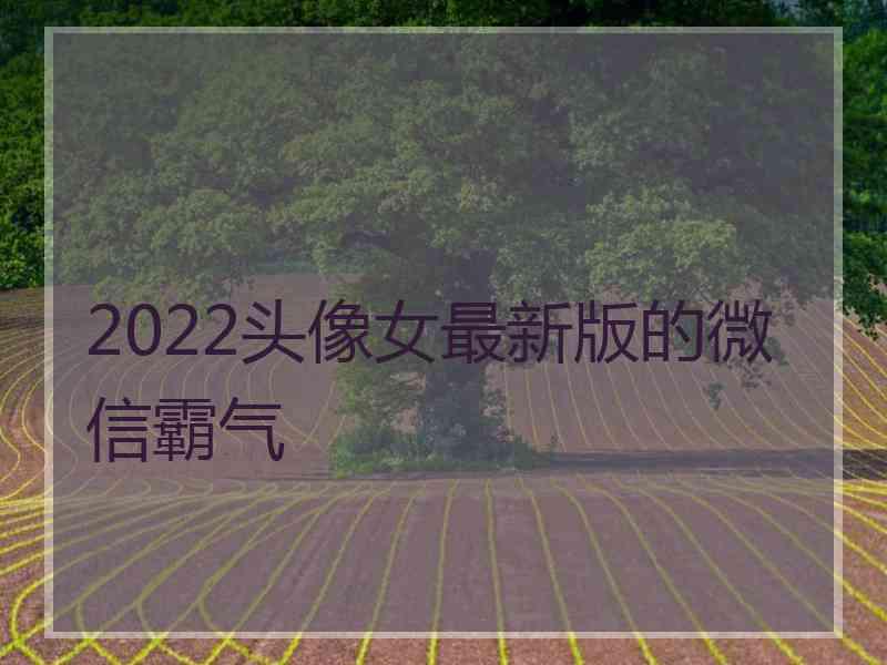 2022头像女最新版的微信霸气