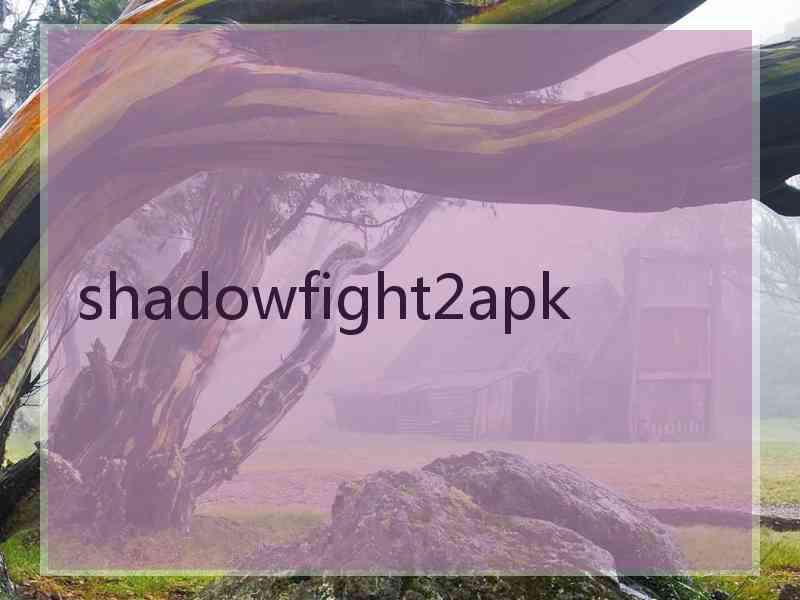 shadowfight2apk