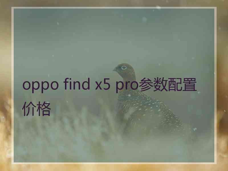 oppo find x5 pro参数配置价格