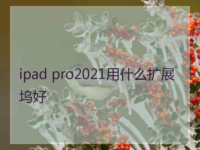 ipad pro2021用什么扩展坞好