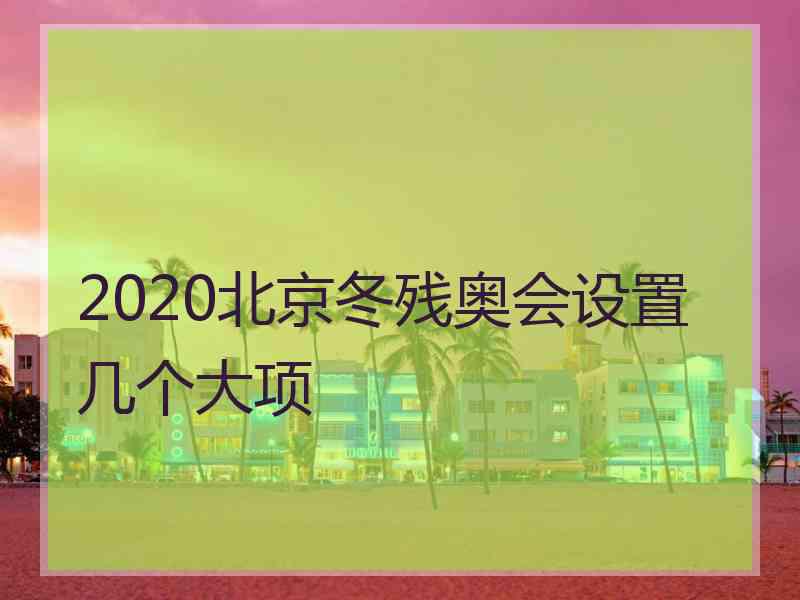 2020北京冬残奥会设置几个大项