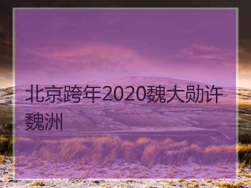 北京跨年2020魏大勋许魏洲