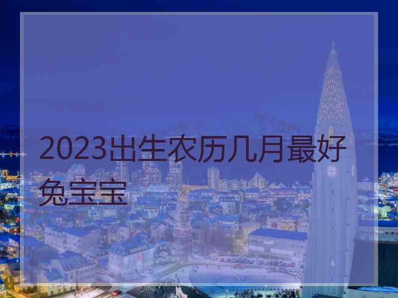 2023出生农历几月最好兔宝宝