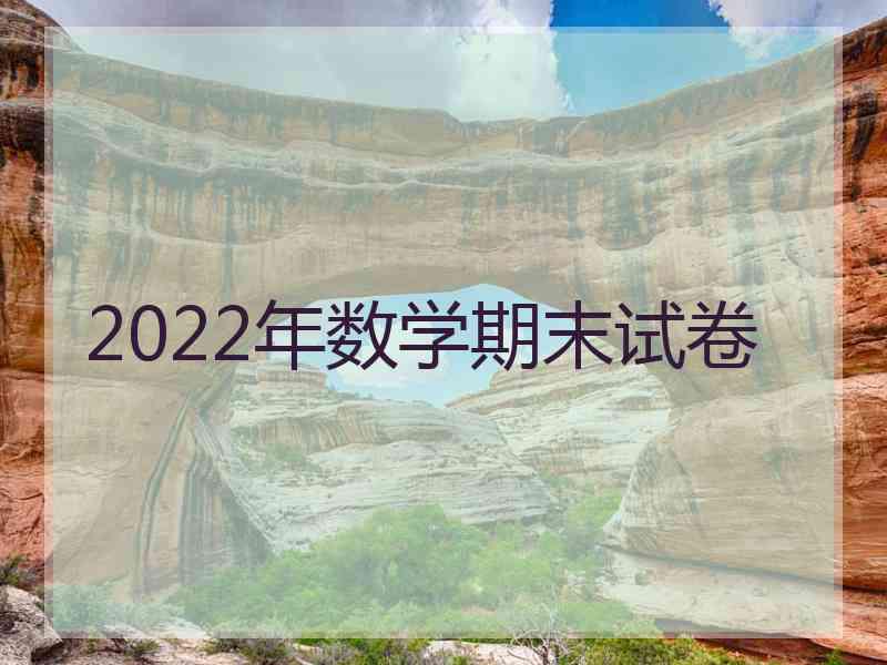 2022年数学期末试卷