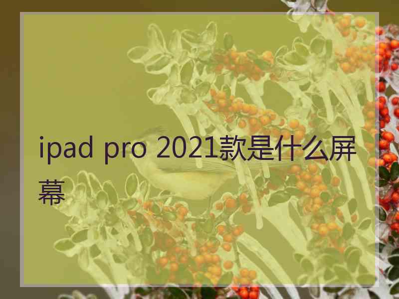 ipad pro 2021款是什么屏幕