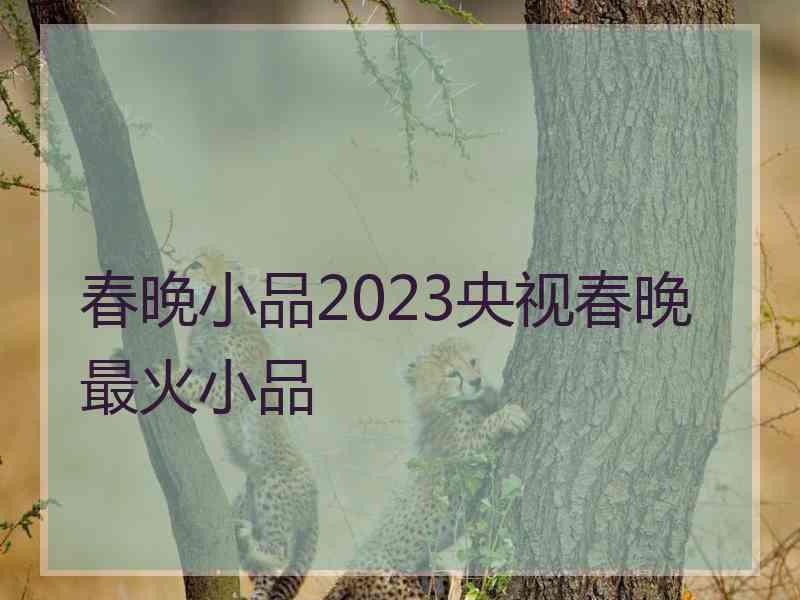 春晚小品2023央视春晚最火小品