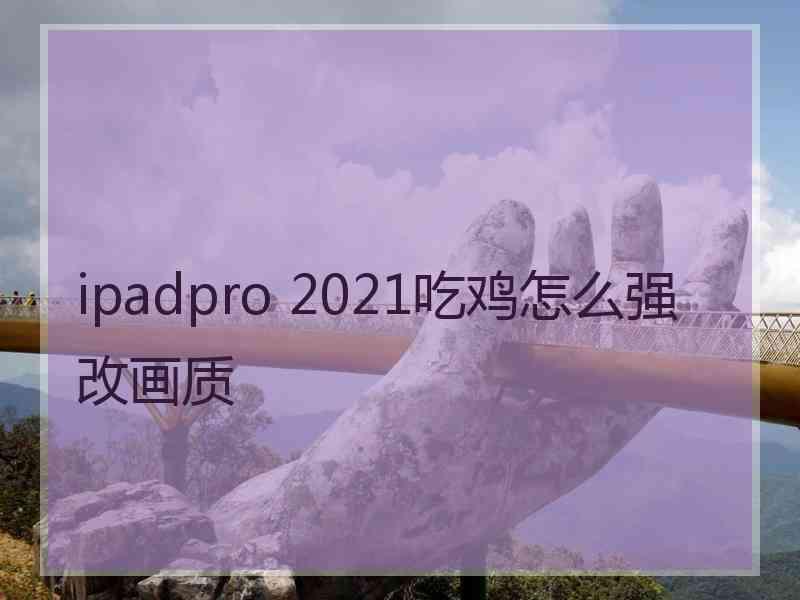 ipadpro 2021吃鸡怎么强改画质