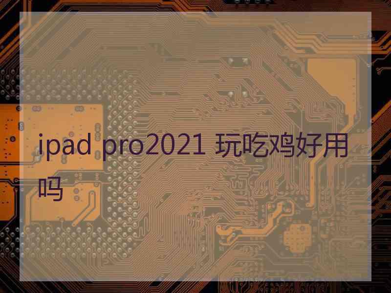 ipad pro2021 玩吃鸡好用吗