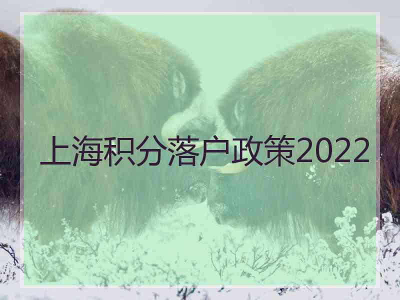 上海积分落户政策2022