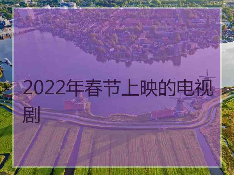 2022年春节上映的电视剧