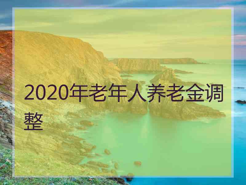 2020年老年人养老金调整