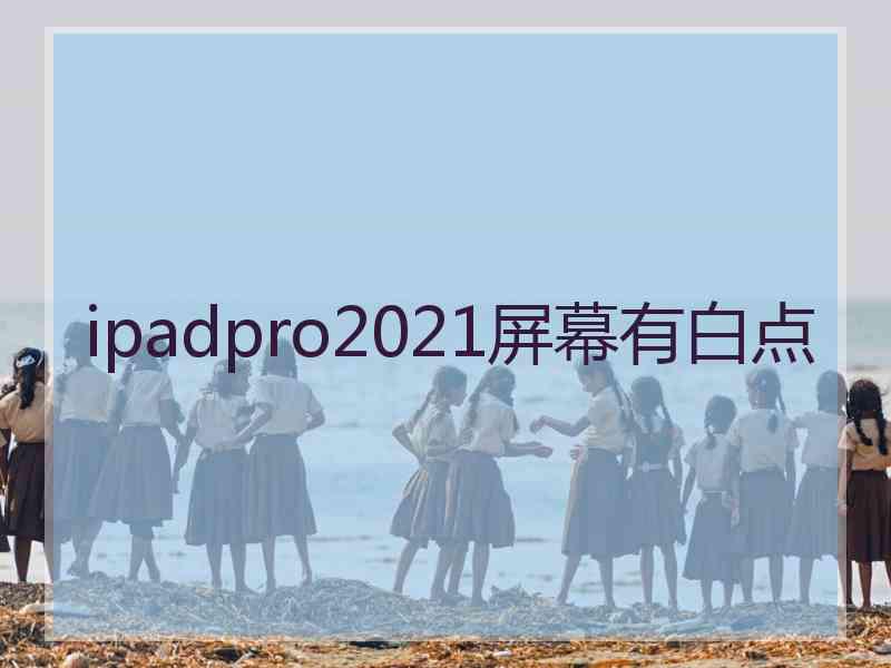 ipadpro2021屏幕有白点