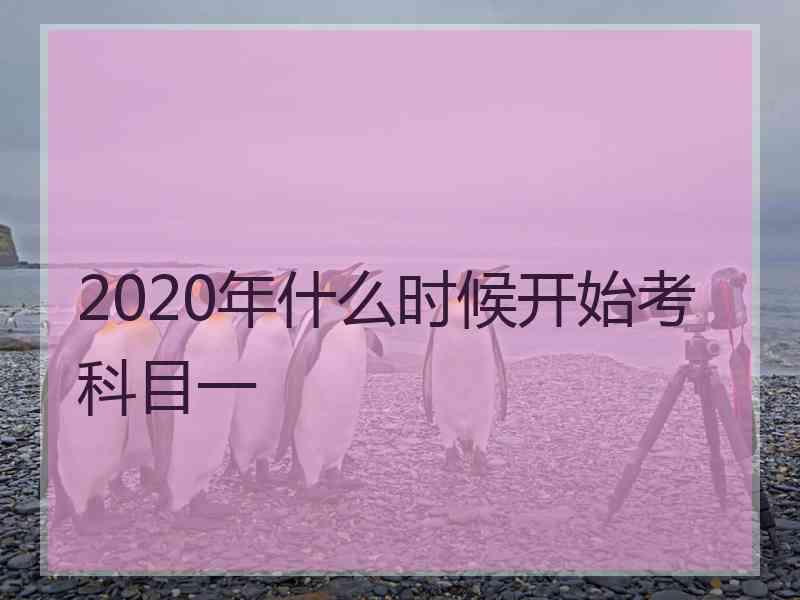 2020年什么时候开始考科目一