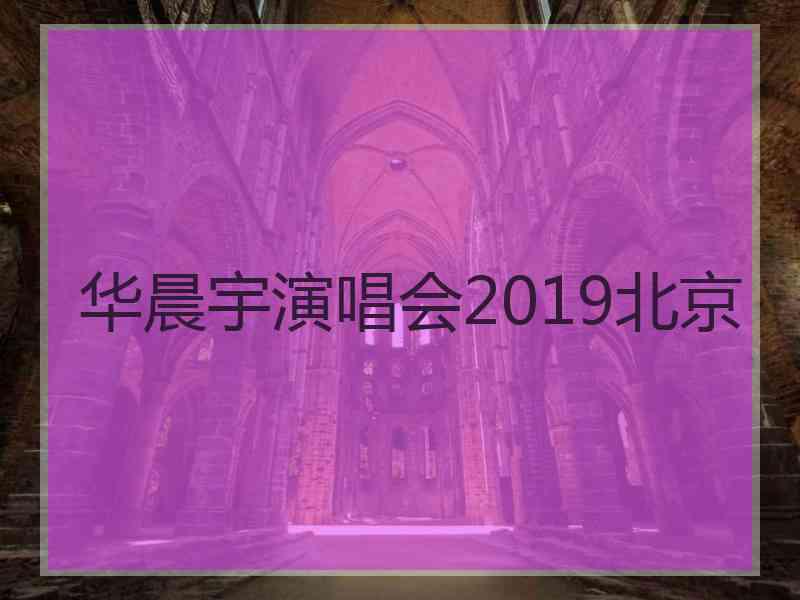 华晨宇演唱会2019北京