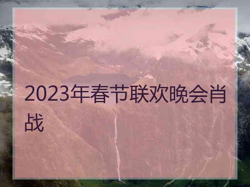 2023年春节联欢晚会肖战