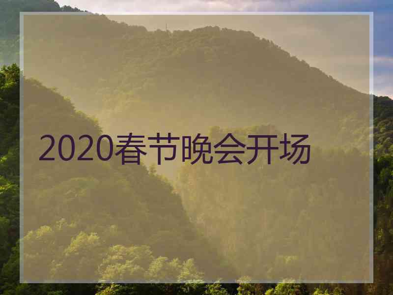 2020春节晚会开场